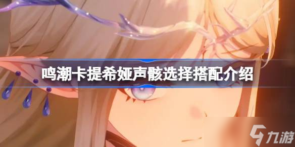 鸣潮卡提希娅声骸该怎么选择 鸣潮卡提希娅声骸选择搭配介绍