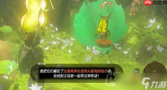 塞爾達(dá)傳說納末敏的尋寶游戲任務(wù)怎么做-納末敏的尋寶游戲任務(wù)攻略