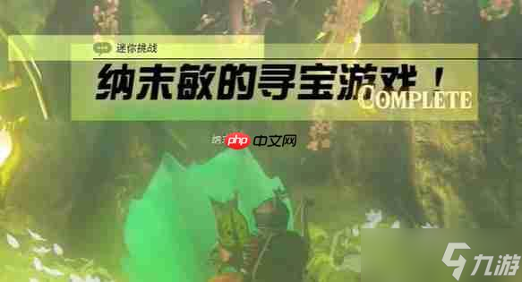 塞爾達(dá)傳說納末敏的尋寶游戲任務(wù)怎么做-納末敏的尋寶游戲任務(wù)攻略