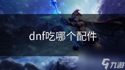 dnf吃哪個配件
