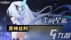 原神丝柯克用什么武器好