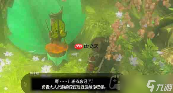 塞爾達(dá)傳說納末敏的尋寶游戲任務(wù)怎么做-納末敏的尋寶游戲任務(wù)攻略