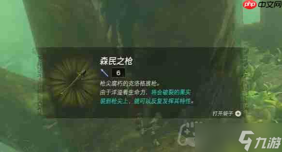 塞爾達(dá)傳說納末敏的尋寶游戲任務(wù)怎么做-納末敏的尋寶游戲任務(wù)攻略