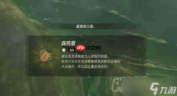 塞爾達(dá)傳說納末敏的尋寶游戲任務(wù)怎么做-納末敏的尋寶游戲任務(wù)攻略