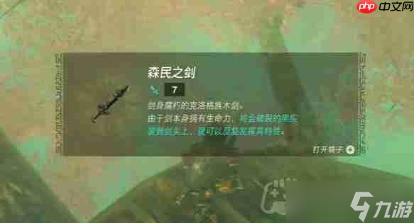 塞爾達(dá)傳說納末敏的尋寶游戲任務(wù)怎么做-納末敏的尋寶游戲任務(wù)攻略