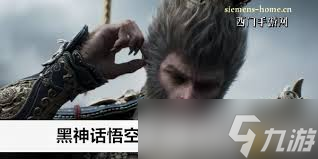 黑神话悟空不求人珍玩怎么获取