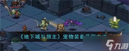 地下城与领主宠物装备怎么获取 地下城与领主宠物装备获取指南攻略