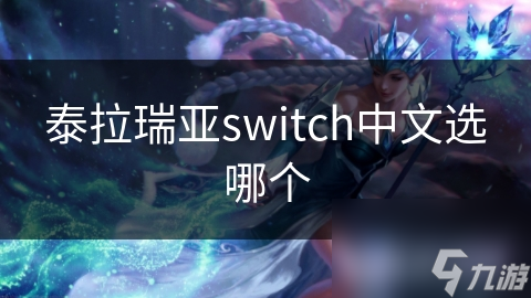 泰拉瑞亞switch中文選哪個