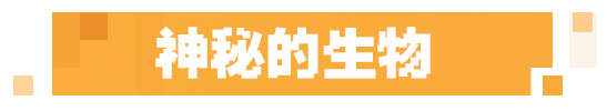 《我的世界》1.21版本如約而至，神秘生物全新方塊等你探索