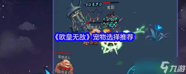 音贝才是王道 欧皇无敌宠物选择终极避坑指南