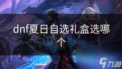 dnf夏日自选礼盒选哪个