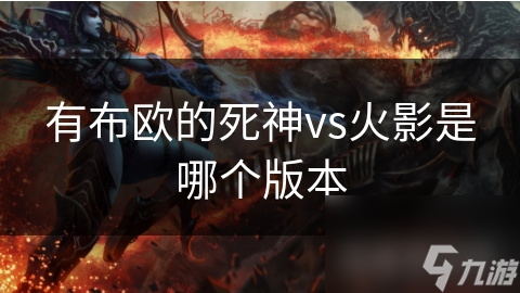 有布欧的死神vs火影是哪个版本