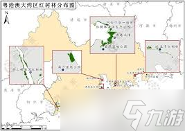 红树林分布在哪些地区