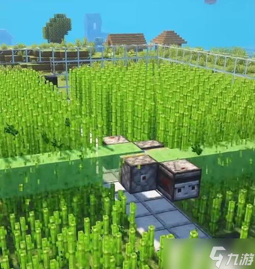 在Minecraft手机版中种植甘蔗的步骤是什么？