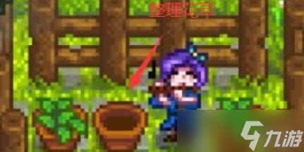星露谷物语结婚需要准备什么