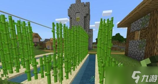 在Minecraft手机版中种植甘蔗的步骤是什么？
