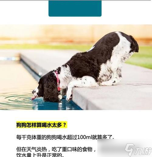 我的世界狗喝水方法 怎么讓狗在游戲里飲水 