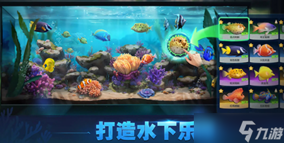 鳞光海域公测时间