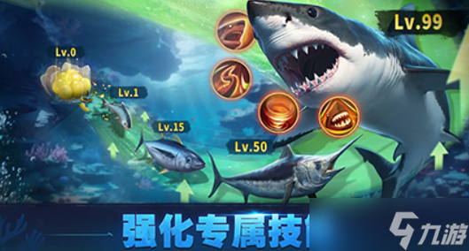 鳞光海域公测时间