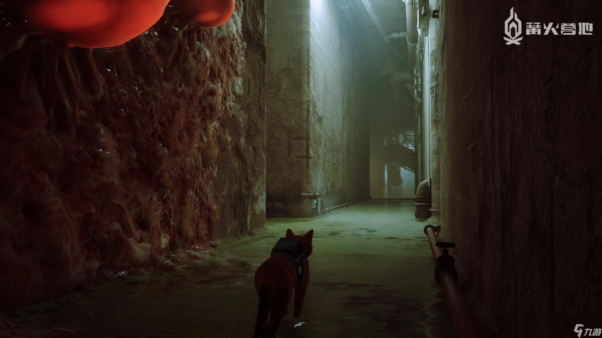 《迷失 Stray》全记忆收集图文攻略