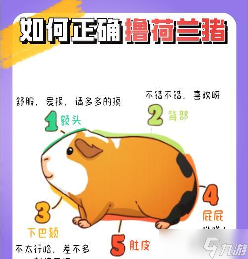 陰陽(yáng)師豚鼠獲取方法有哪些？如何快速獲得豚鼠？