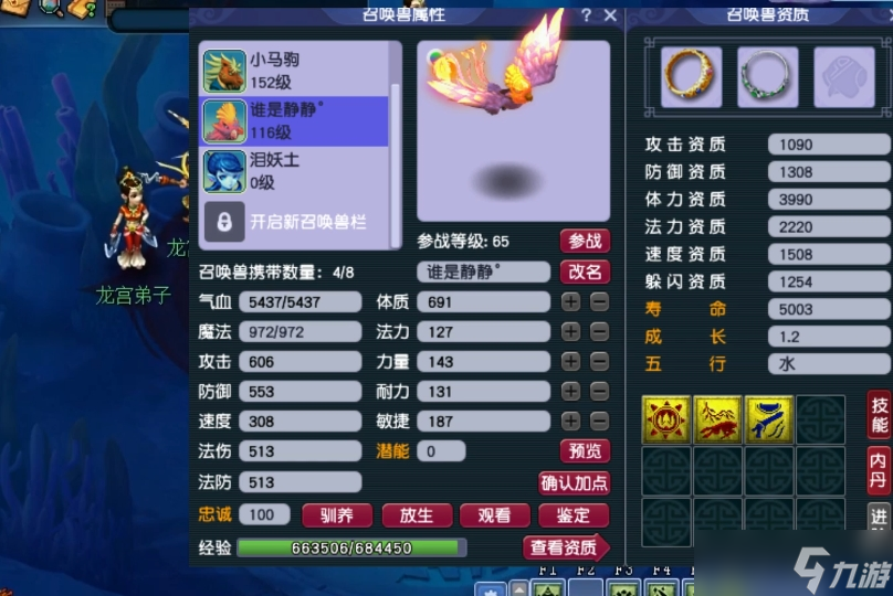 梦幻西游血攻宠加什么