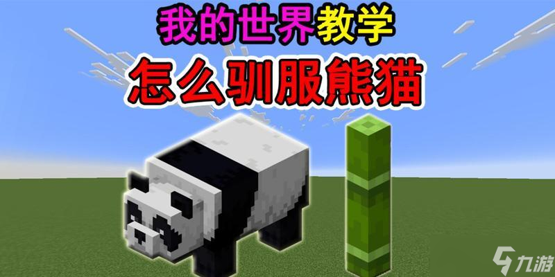 我的世界中如何牵领熊猫？