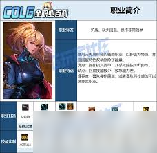 DNF黑暗武士VP怎么选择