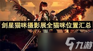 剑星猫咪照片在哪里看