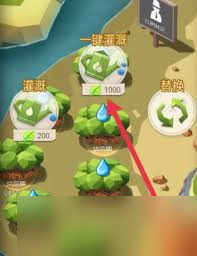 碳碳岛如何浇水