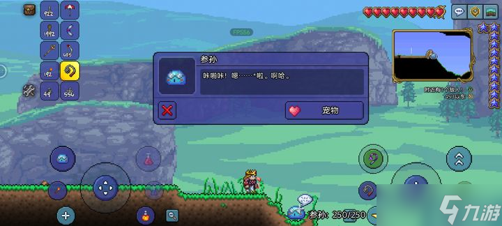 泰拉瑞亚最强的宠物是什么