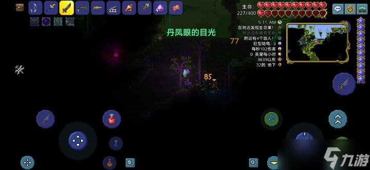泰拉瑞亚花苞一般在哪些地方