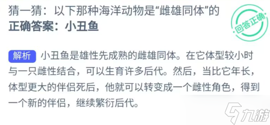 揭秘：哪种海洋生物既为雌也为雄？