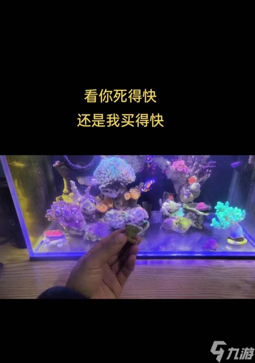我的世界中珊瑚的挖掘方法是什么？如何获取珊瑚？