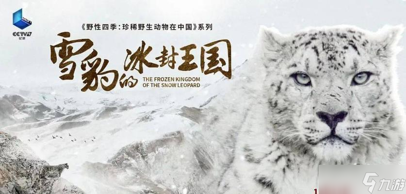《太极熊猫》冰封王国副本攻略（掌握冰封王国副本的打法技巧）