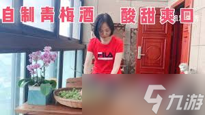 三国杀青梅酒食谱是什么