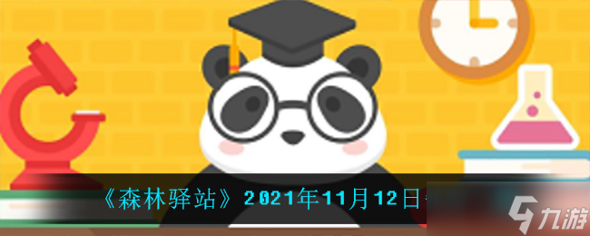 豹貓的真相解析