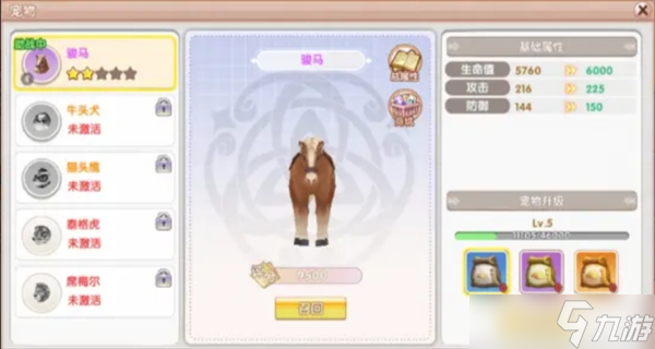 飞飞重逢宠物获取及培养攻略