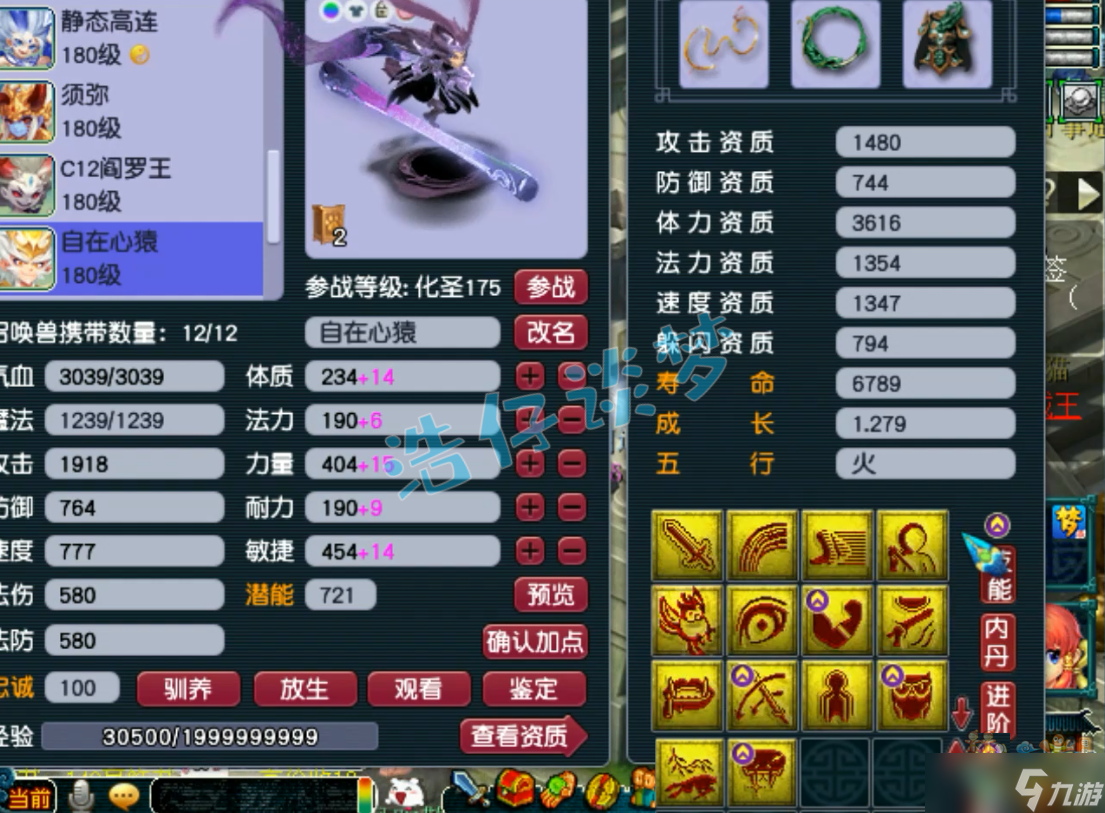 《梦幻西游》电脑版：175服战凌波城，千伤武器配3件抗封装备很稀有！