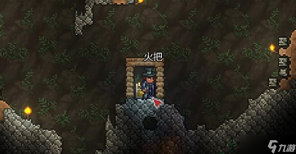 泰拉瑞亞特殊隱藏成就怎么獲得