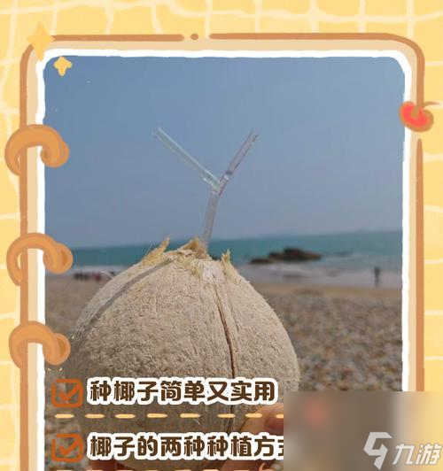 椰子采摘的正确方法是什么？在Minecraft中如何获取椰子？