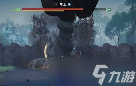 伊莫草王怎么樣