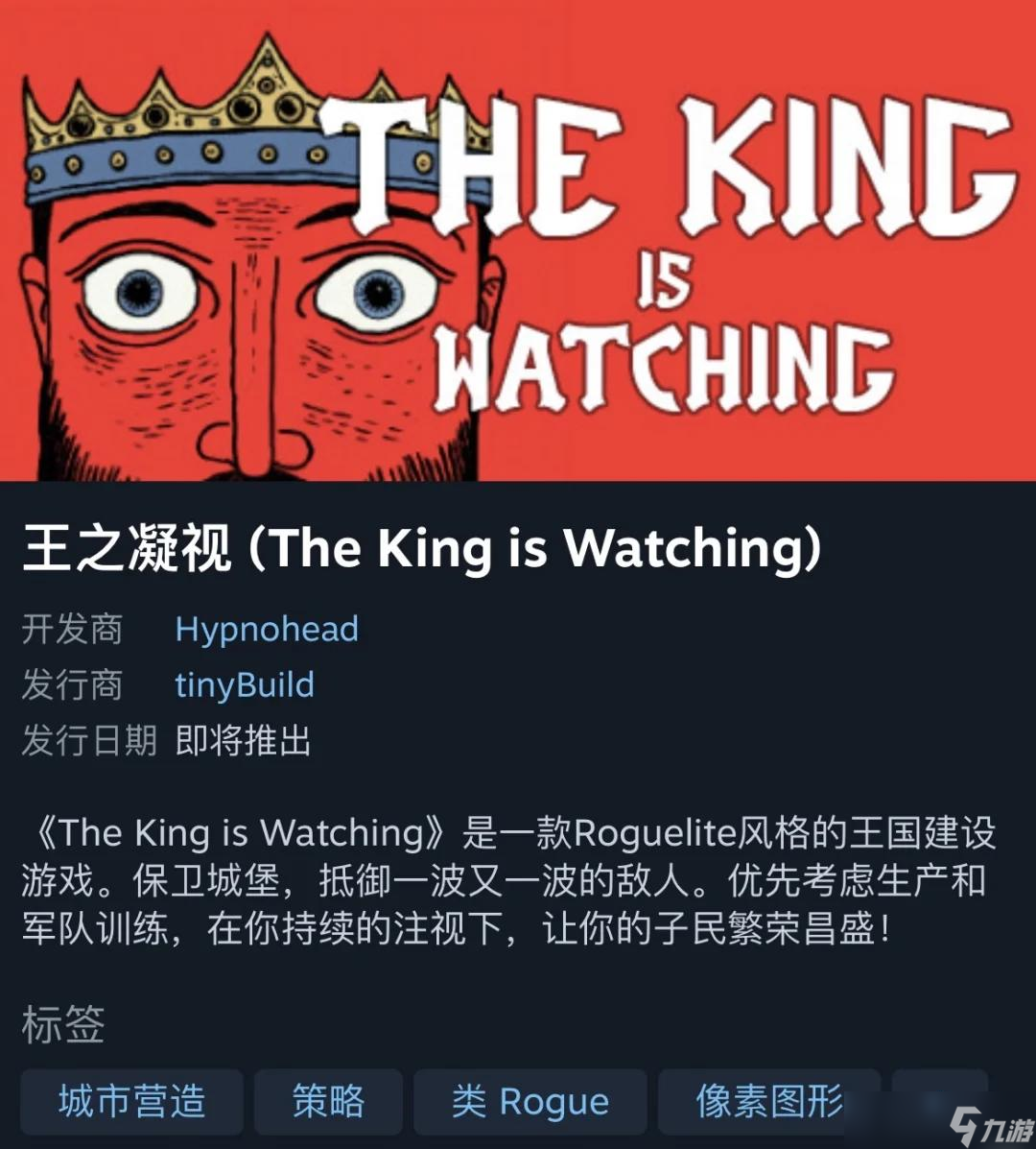 王之凝视什么时候发售