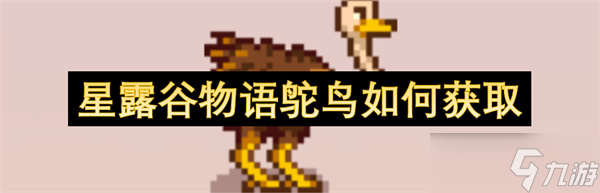星露谷物语鸵鸟如何获取