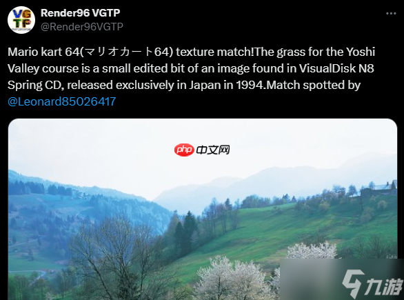高玩都在忙这个 老外找到《马里奥赛车64》难辨草地纹理原型
