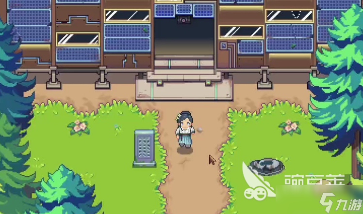 江城创业记茴参在哪采 江城创业记茴参采集点在哪