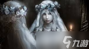 艾尔登法环黑夜君临角色故事图鉴是什么