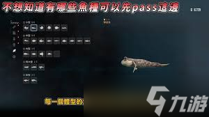 剑星怎么钓鱼