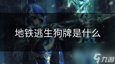 地铁逃生狗牌是什么