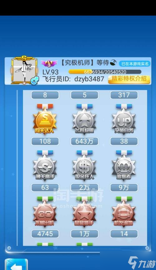 《全民飞机大战》游戏宠物升级经验值分析（揭秘游戏中宠物升级的关键秘籍）